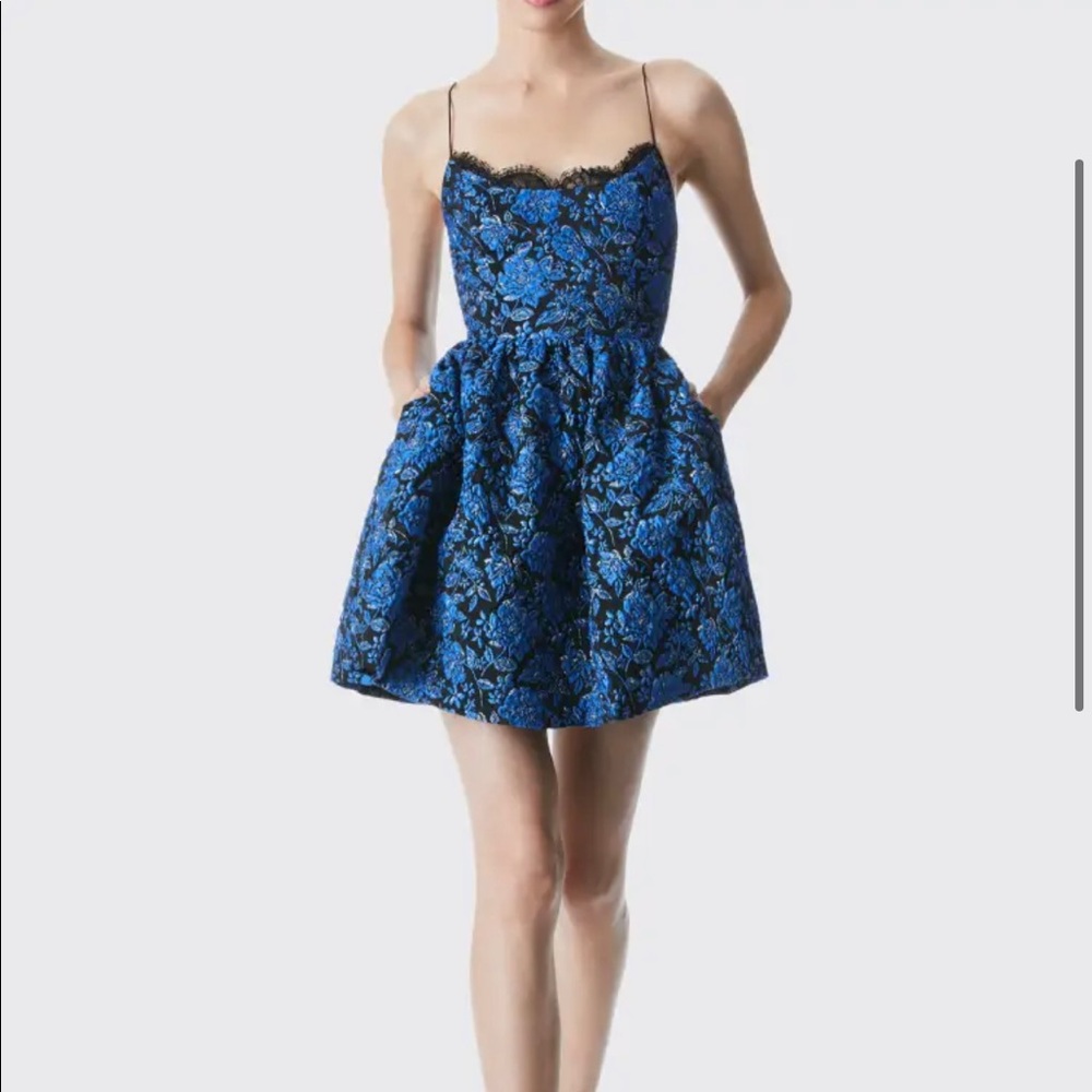 Alice + Olivia Kendra Floral Party Dress
